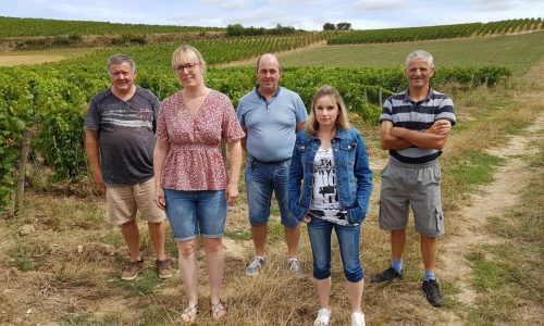 Equipes-de-conseillers-et- d-agent-de-pesée-vignes